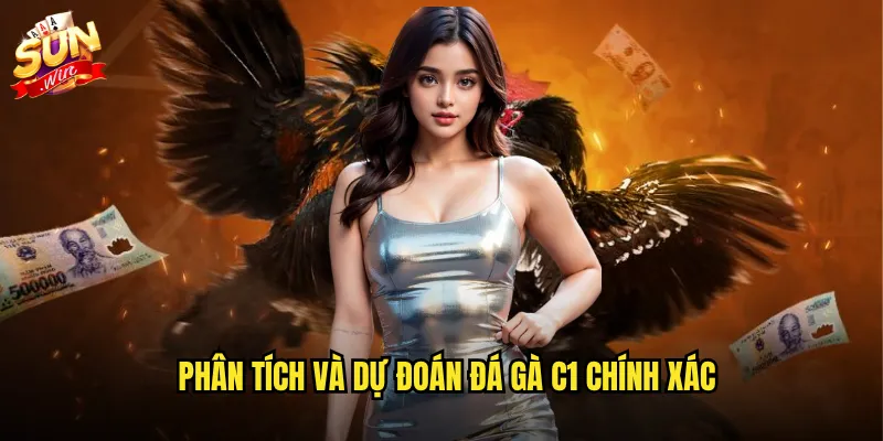 Phân tích và dự đoán đá gà C1 chính xác
